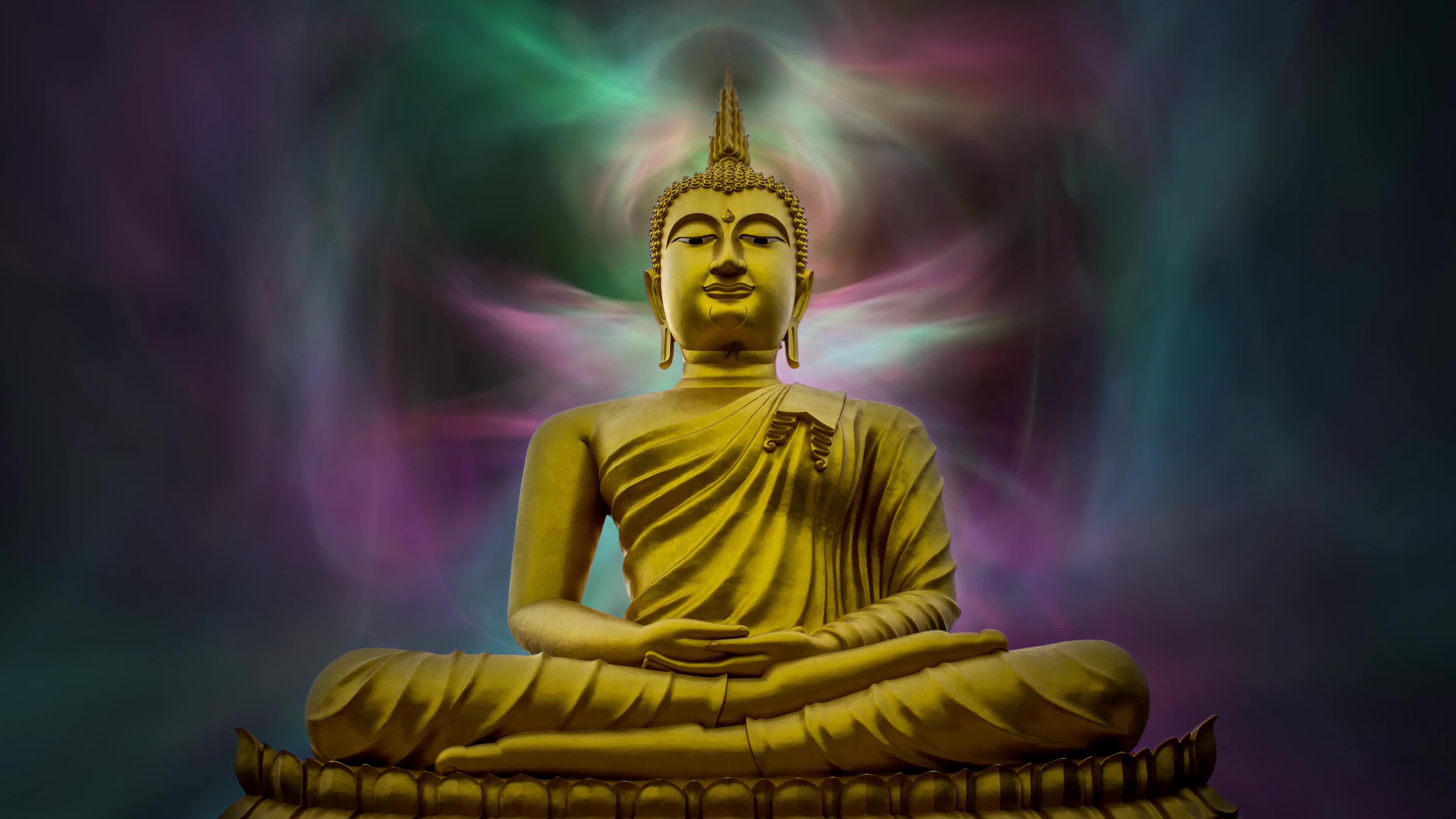 88241-602915711